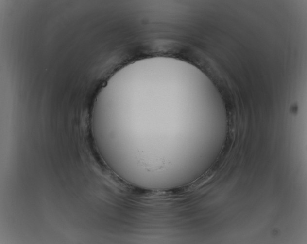 X0000093450563200710121008