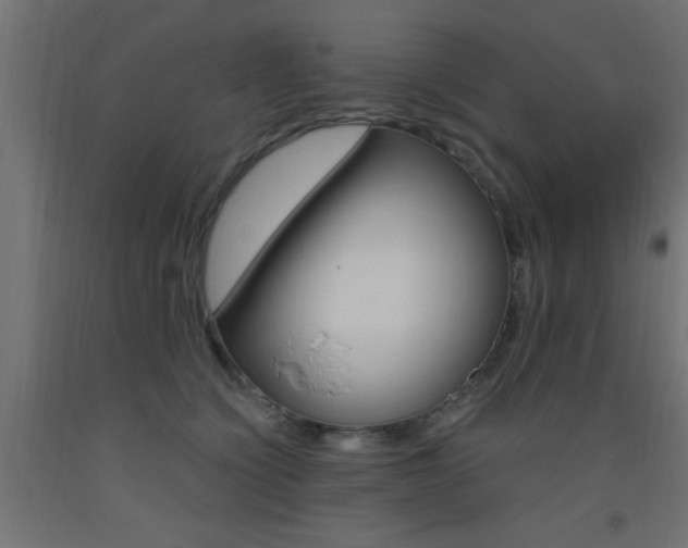 X0000093450564200710121008
