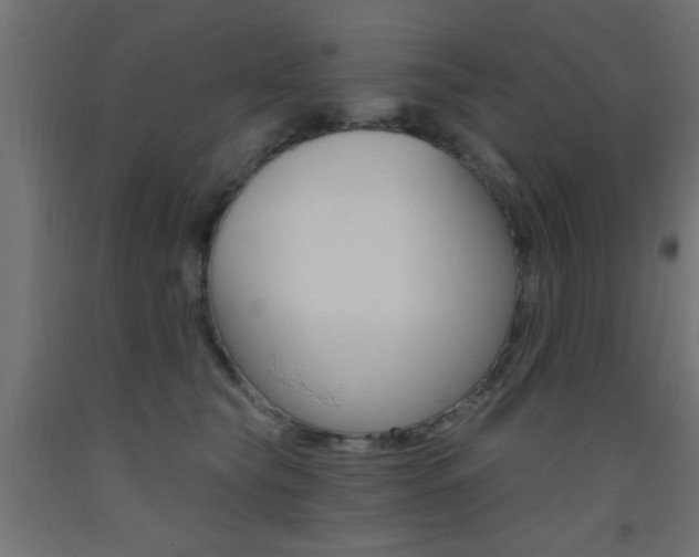 X0000093450565200710121008