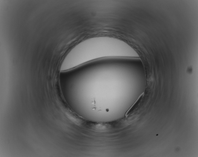 X0000093450566200710121008