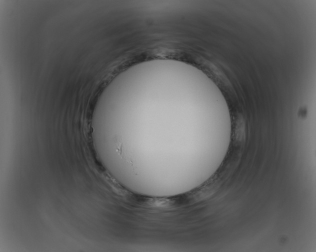 X0000093450569200710121008