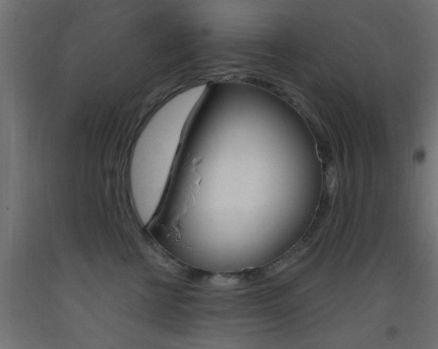 X0000093450570200710121008