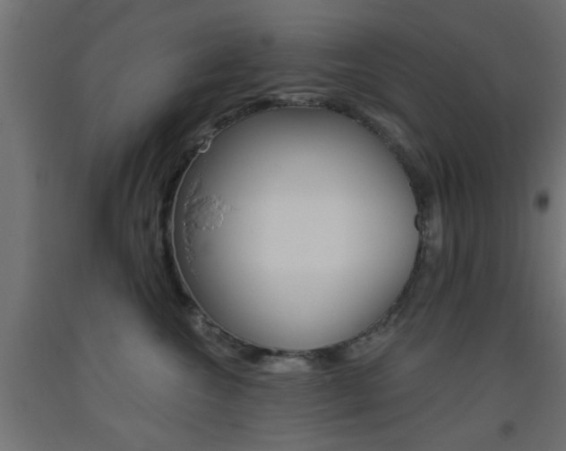 X0000093450572200710121008