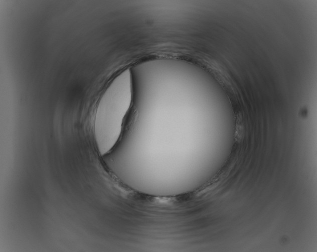 X0000093450573200710121008
