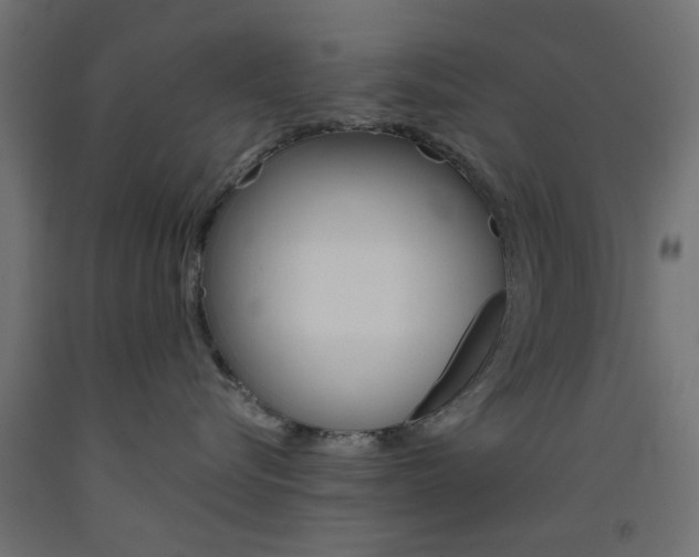 X0000093450576200710121008