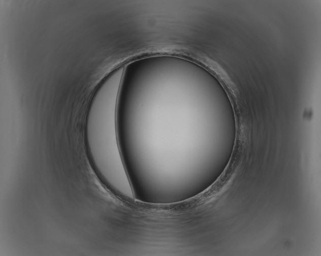 X0000093450577200710121007