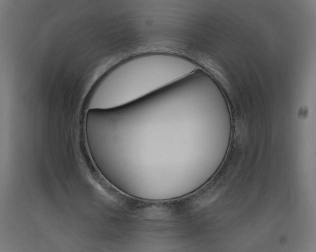 X0000093450578200710121007