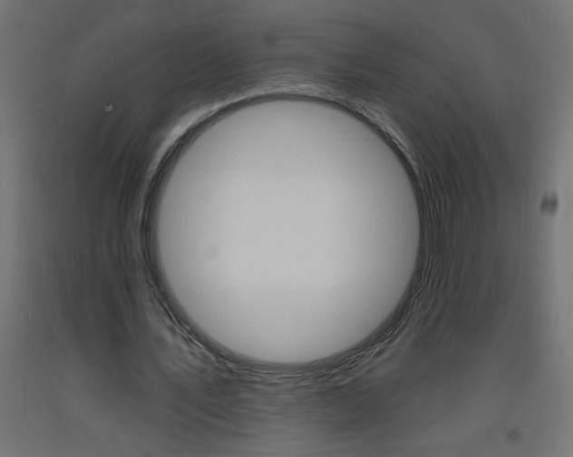 X0000093450579200710121007
