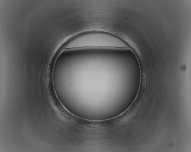 X0000093450580200710121007