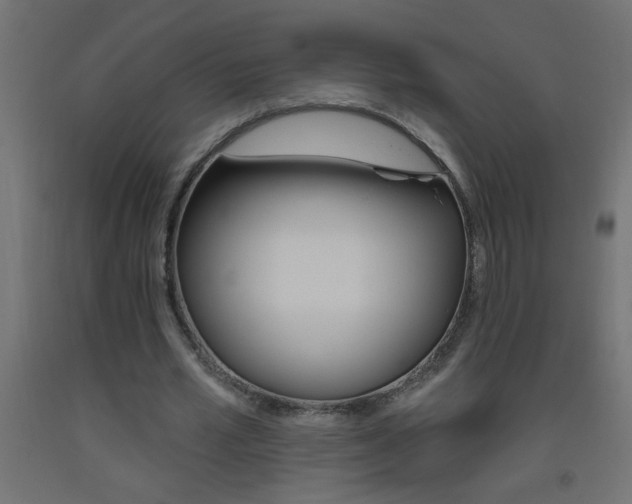 X0000093450581200710121007