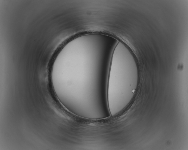 X0000093450584200710121007
