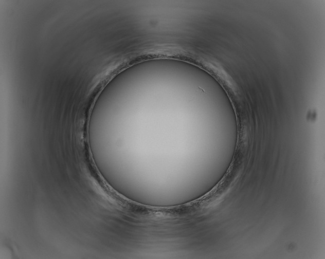 X0000093450585200710121007