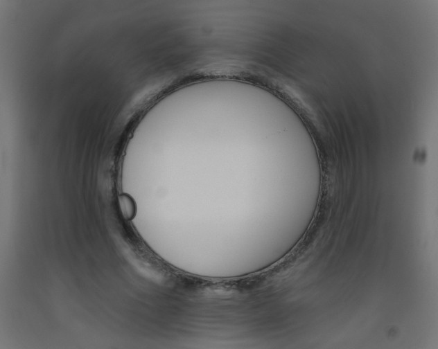 X0000093450586200710121007