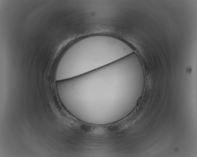 X0000093450587200710121007