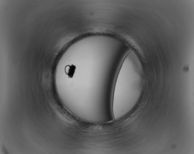X0000093450588200710121007