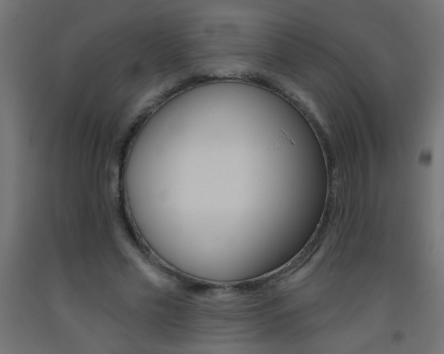 X0000093450589200710121007