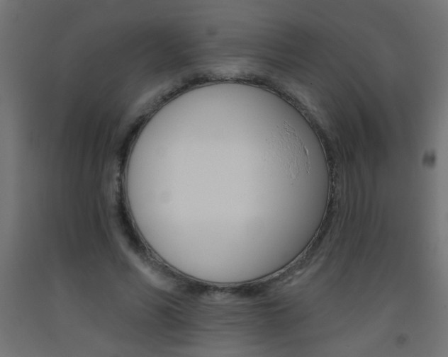 X0000093450590200710121007