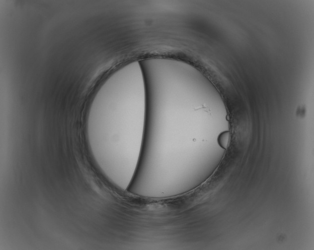 X0000093450591200710121007