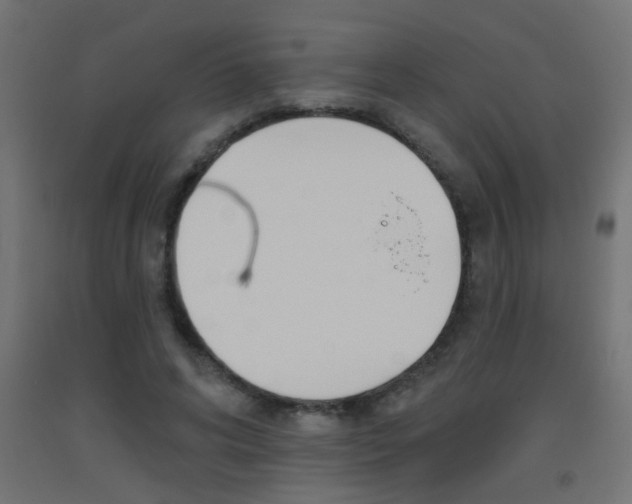 X0000093450592200710121007