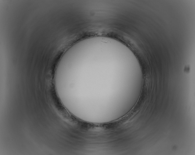 X0000093450594200710121007