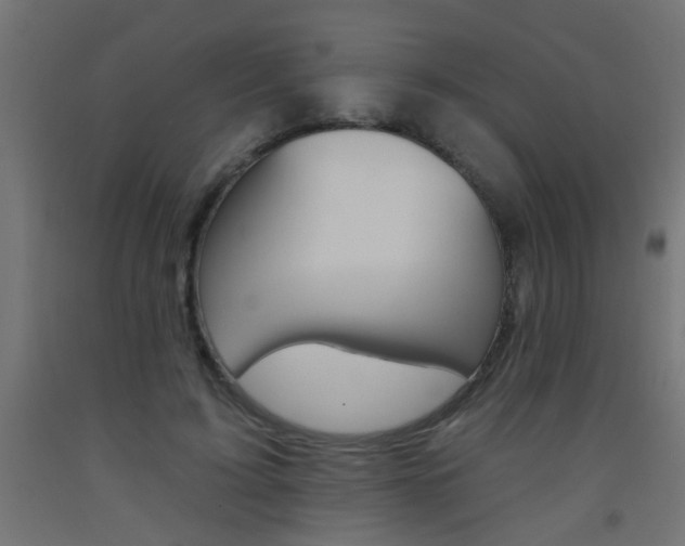 X0000093450595200710121007