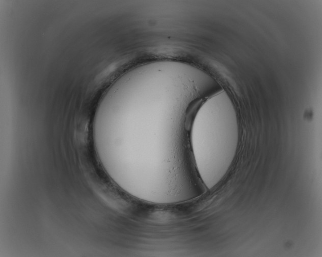 X0000093450596200710121007