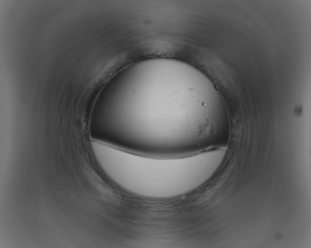 X0000093450597200710121007