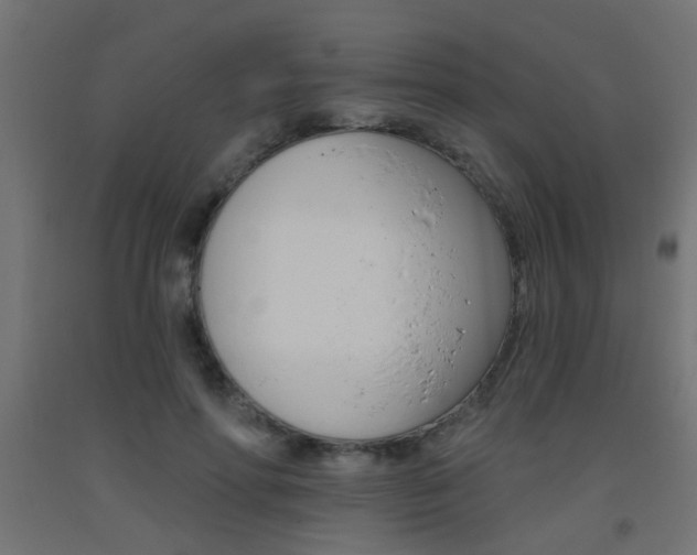 X0000093450598200710121007