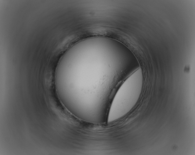 X0000093450600200710121007