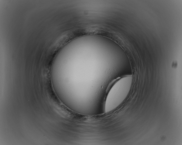 X0000093450601200710121007