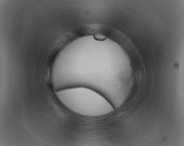 X0000093450602200710121007