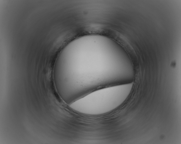 X0000093450604200710121007