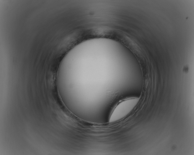 X0000093450605200710121007