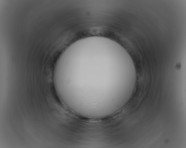 X0000093450606200710121007