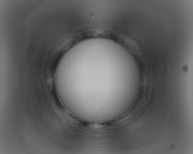 X0000093450607200710121007