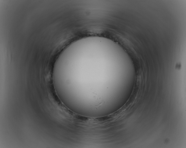 X0000093450608200710121007