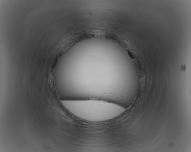 X0000093450609200710121007