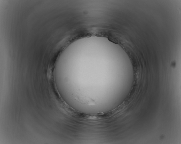X0000093450611200710121007
