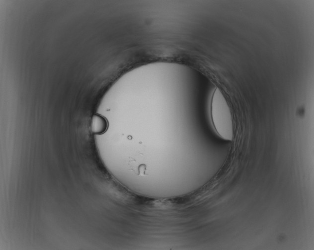 X0000093450612200710121007