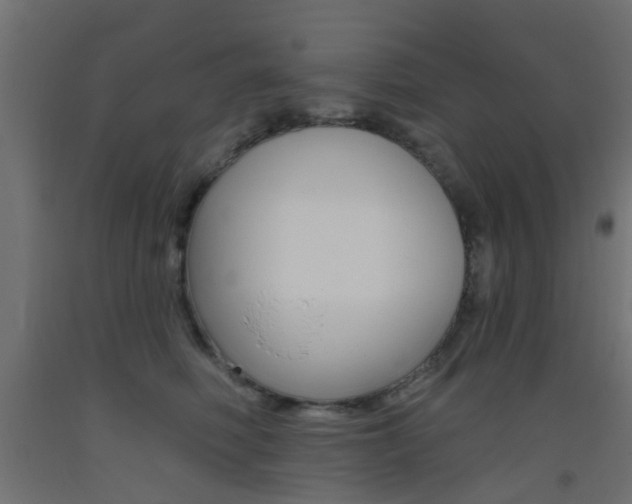 X0000093450614200710121007