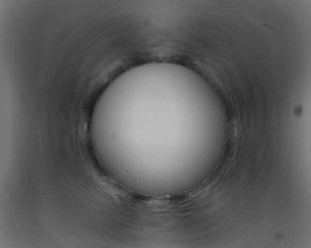 X0000093450615200710121007