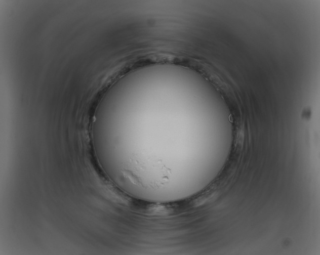 X0000093450616200710121007