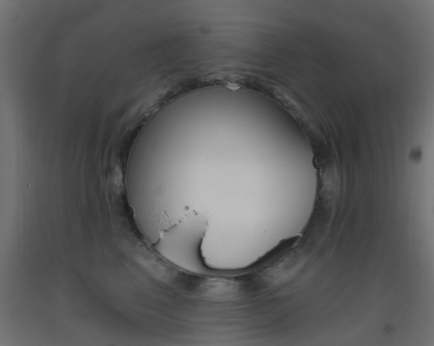 X0000093450617200710121007