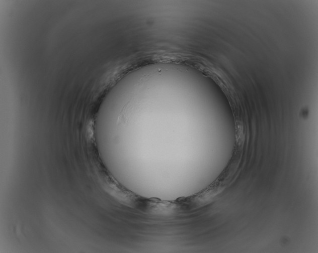 X0000093450621200710121007