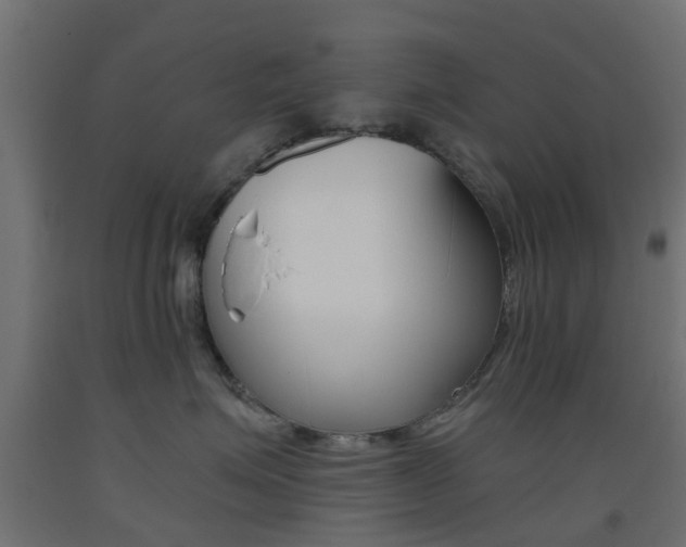 X0000093450623200710121007
