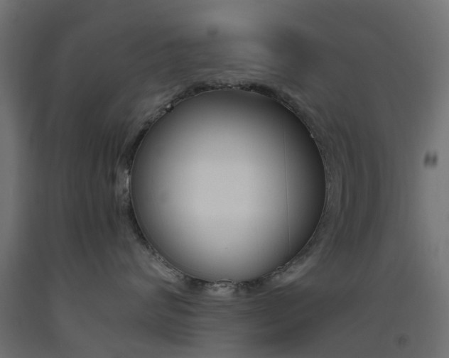 X0000093450624200710121007