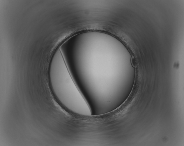 X0000093450625200710121006