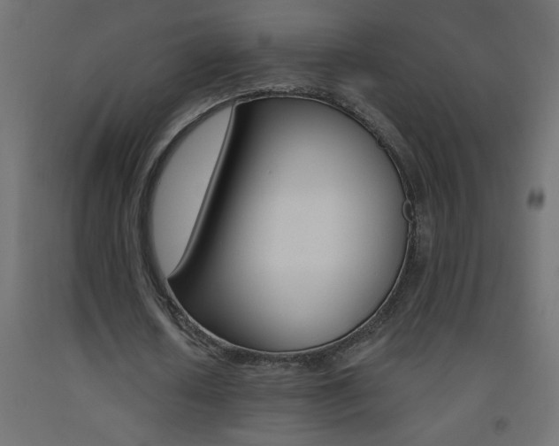 X0000093450626200710121006