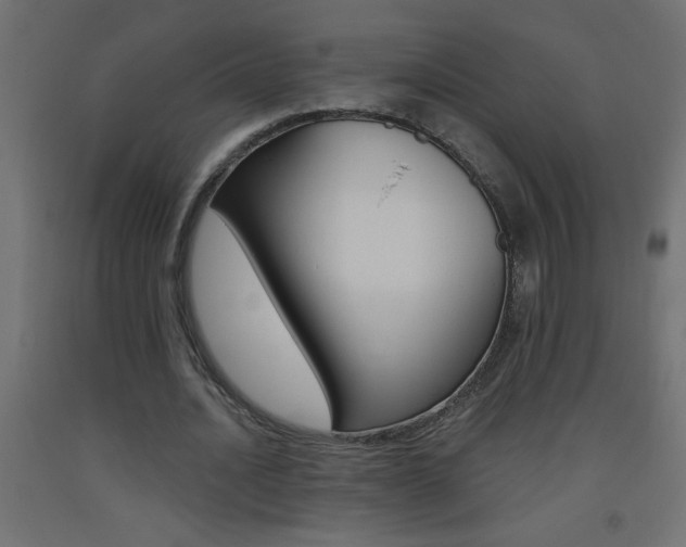 X0000093450628200710121006