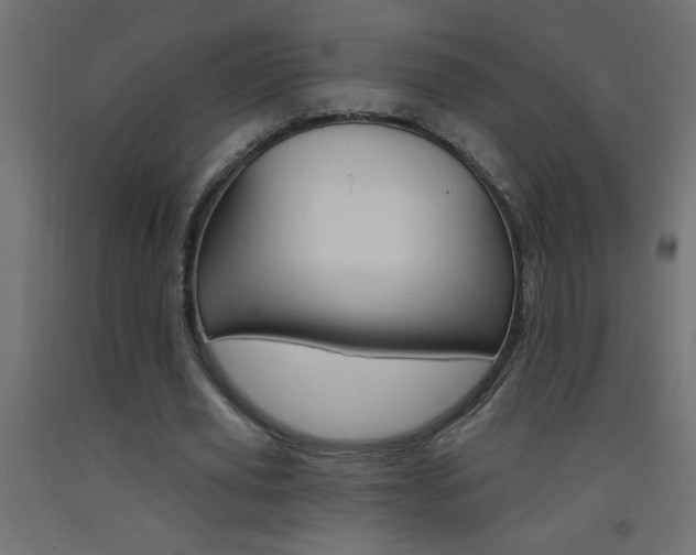 X0000093450629200710121006